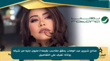صالح شيرين عبد الوهاب يحقق مكاسب بقيمة 2 مليون جنيه من شركة روتانا: تعرف على التفاصيل